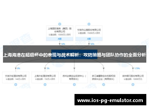 上海海港在超级杯中的表现与战术解析：攻防策略与团队协作的全面分析