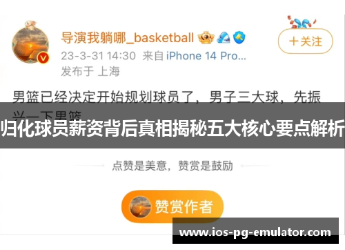归化球员薪资背后真相揭秘五大核心要点解析