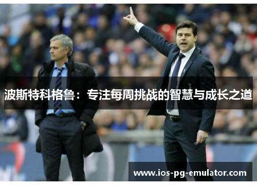 波斯特科格鲁：专注每周挑战的智慧与成长之道